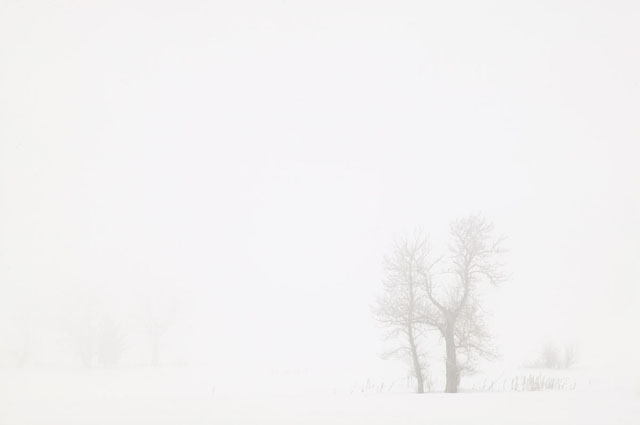 Copyright Joe Decker, used with permission.